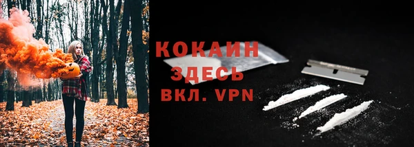 прущие крисы Абаза